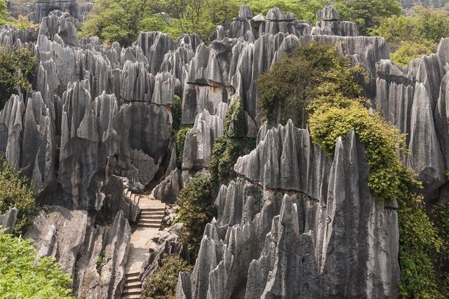 Forêt de pierres de SHILIN - YUNANN CHINE